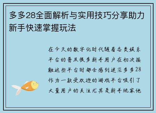 多多28全面解析与实用技巧分享助力新手快速掌握玩法